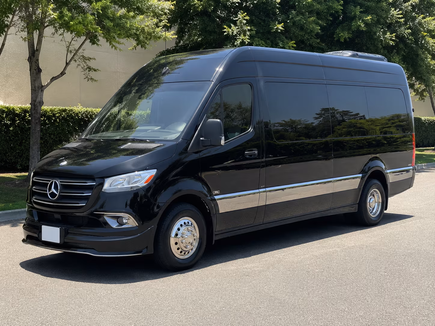 sprinter vans for vip wedding transfers and bridal party pickups